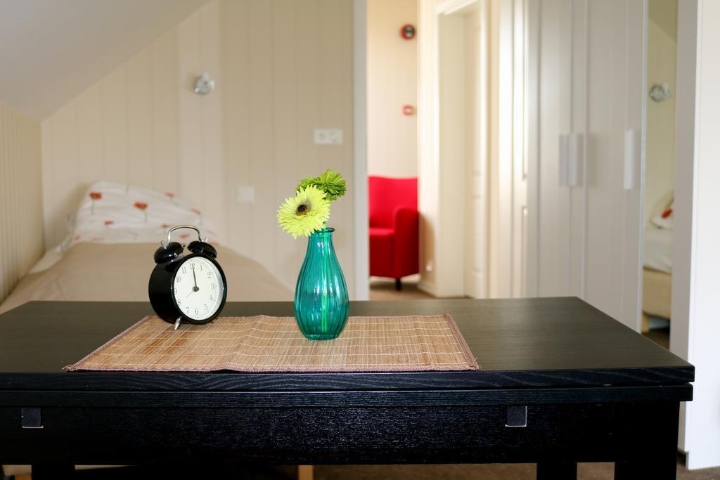 Alloggio per agriturismo Sólheimahjáleiga *